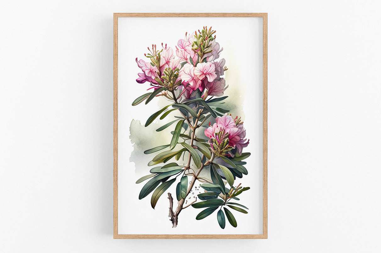 A framed watercolor painting depicting a branch with pink flowers and green leaves.
