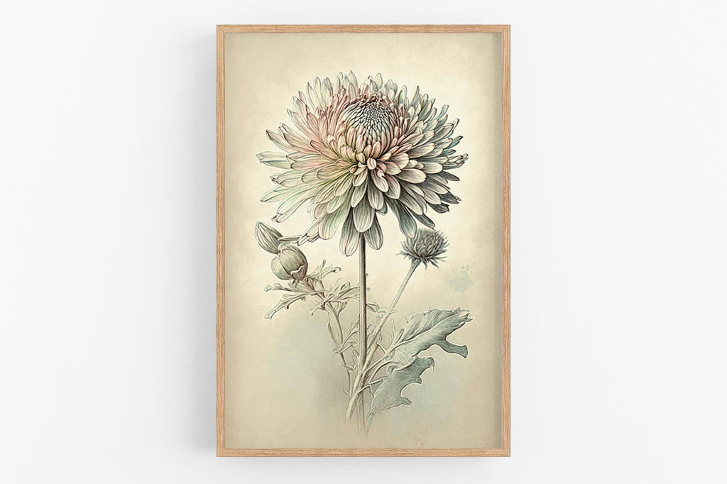 The image is a framed print depicting a detailed botanical illustration of a flower with multiple layers and intricate petals.