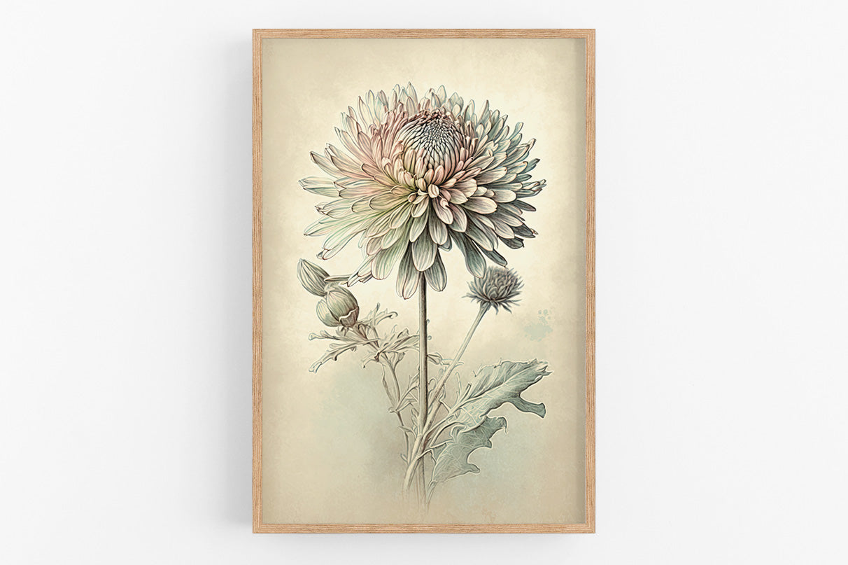 The image is a framed print depicting a detailed botanical illustration of a flower with multiple layers and intricate petals.
