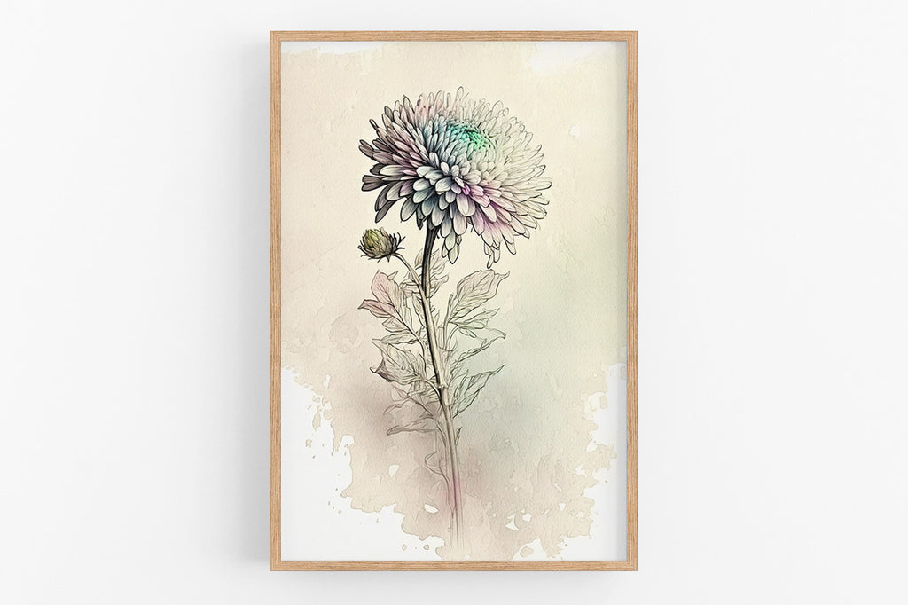 The image is a framed print depicting a detailed illustration of a chrysanthemum flower with its petals and leaves.