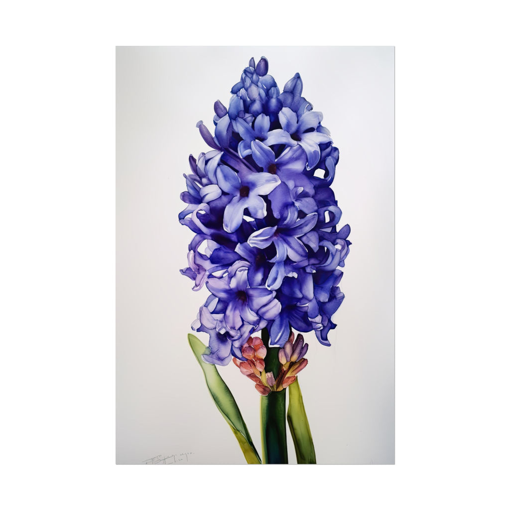 Hyacinth Flower No.127