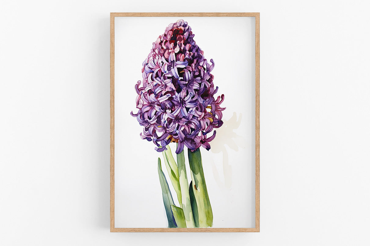 A framed watercolor painting depicting a large, vibrant purple hyacinth flower.