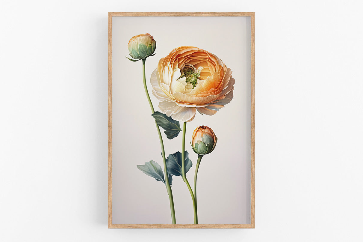 A framed image of a large orange and white flower with three smaller buds, set against a light background.
