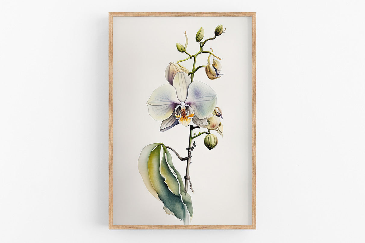 a framed painting of a white orchid flower with green leaves and buds.