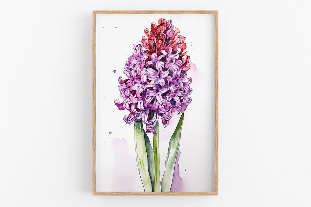 A framed watercolor painting depicting a vibrant purple hyacinth flower with a mix of red and purple petals.