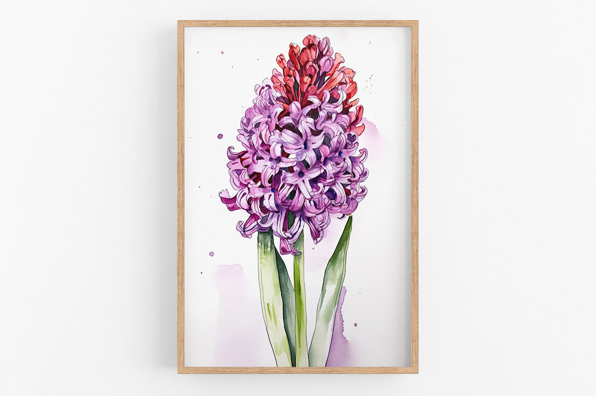 A framed watercolor painting depicting a vibrant purple hyacinth flower with a mix of red and purple petals.