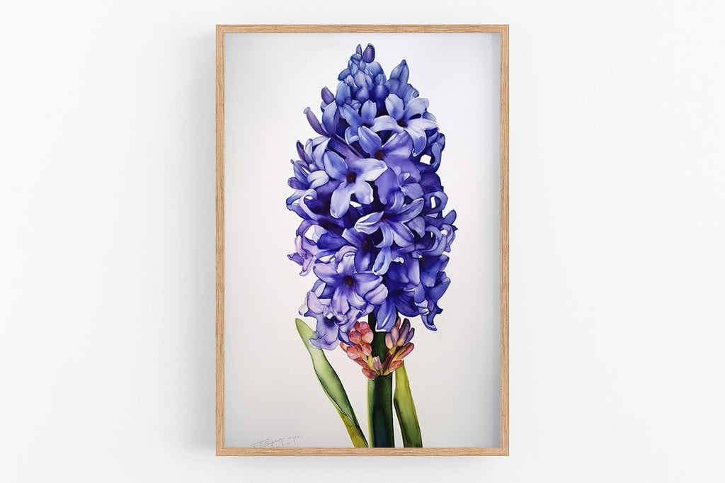 A framed painting of a large, vibrant purple hyacinth flower.
